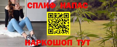 прущие грибы Славянск-на-Кубани