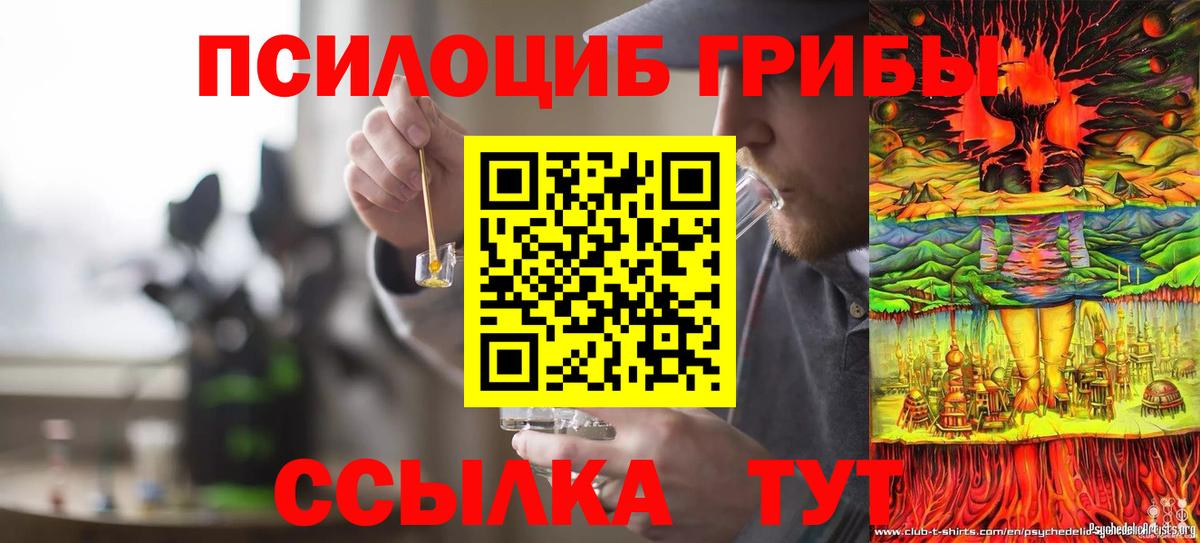 Псилоцибиновые грибы ЛСД  что такое   Сегежа  Вход с VPN 